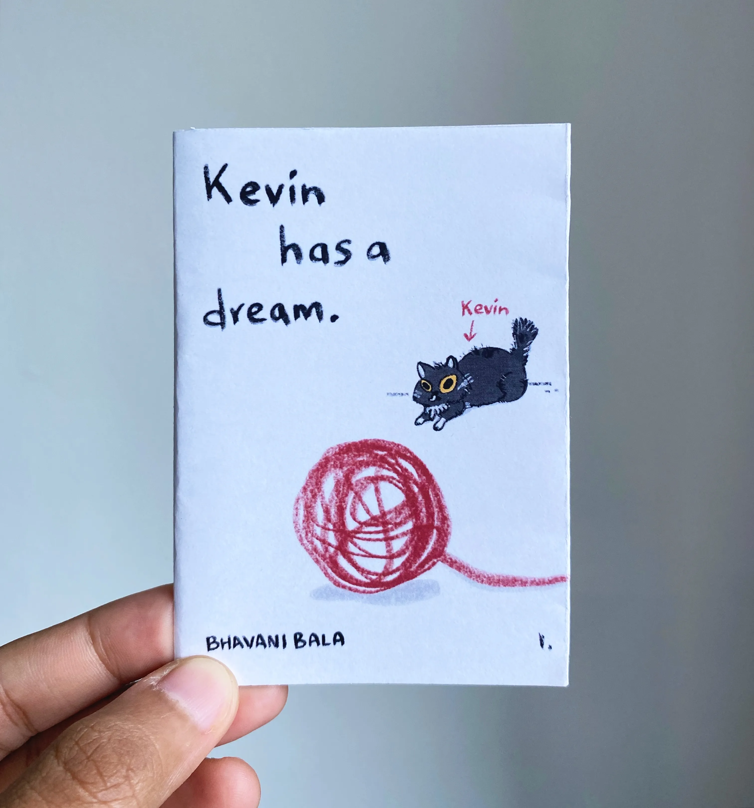 Kevin has a Dream